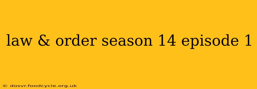 law & order season 14 episode 1