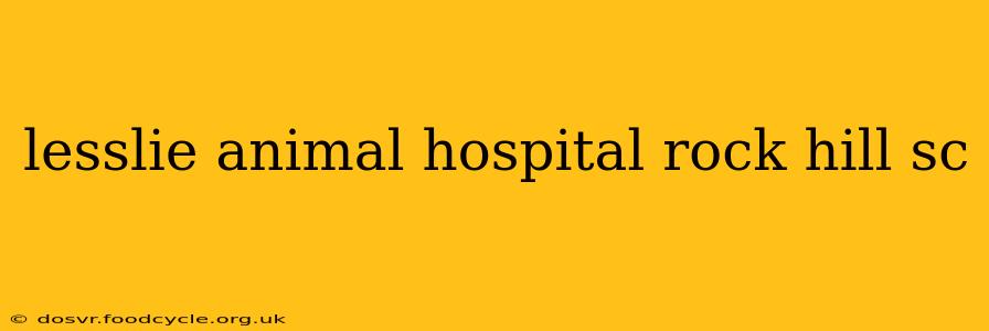 lesslie animal hospital rock hill sc