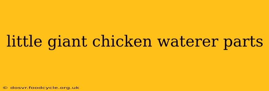 little giant chicken waterer parts