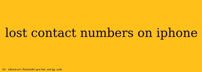 lost contact numbers on iphone