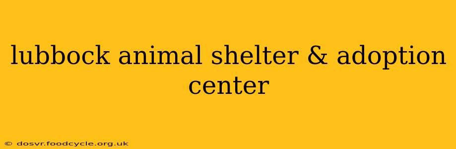 lubbock animal shelter & adoption center