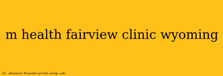m health fairview clinic wyoming