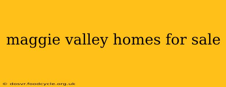 maggie valley homes for sale