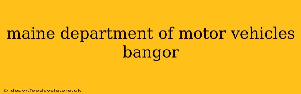 maine department of motor vehicles bangor