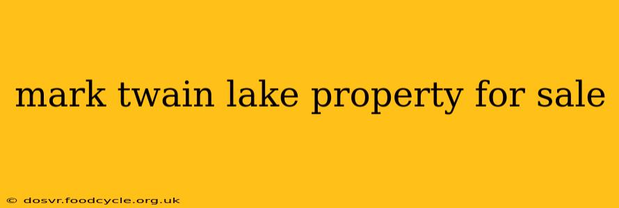 mark twain lake property for sale