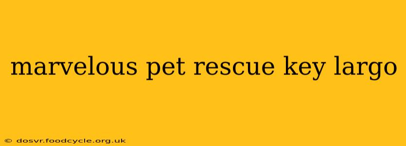 marvelous pet rescue key largo