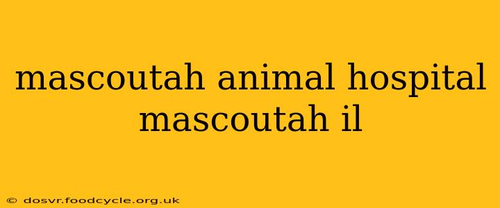 mascoutah animal hospital mascoutah il