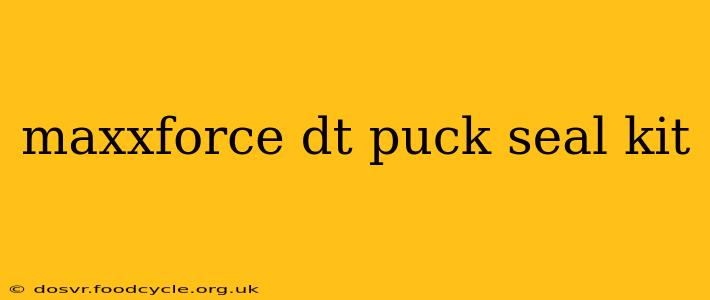 maxxforce dt puck seal kit
