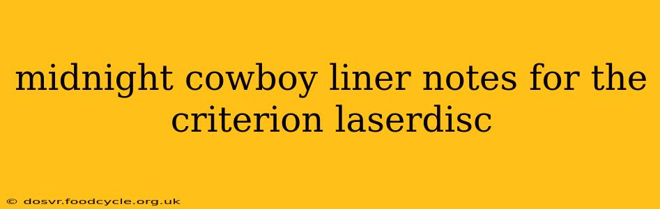 midnight cowboy liner notes for the criterion laserdisc