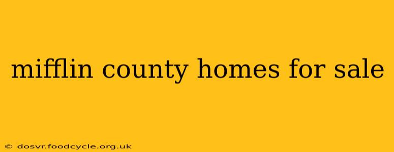mifflin county homes for sale