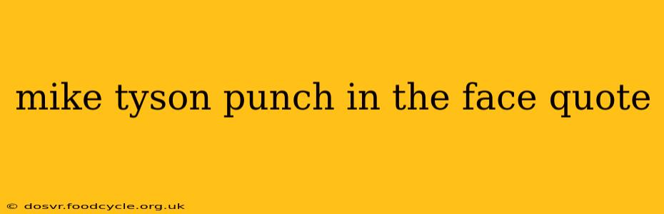 mike tyson punch in the face quote