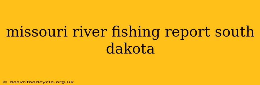 missouri river fishing report south dakota