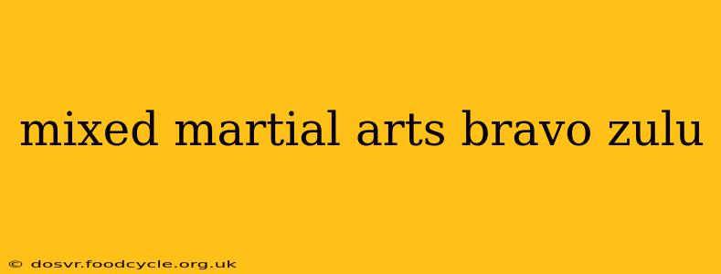 mixed martial arts bravo zulu