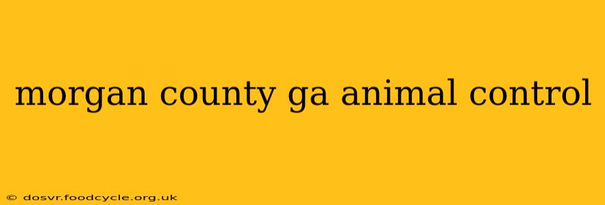 morgan county ga animal control