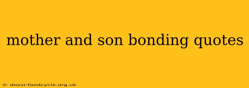 mother and son bonding quotes