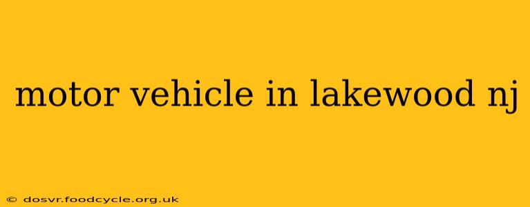motor vehicle in lakewood nj
