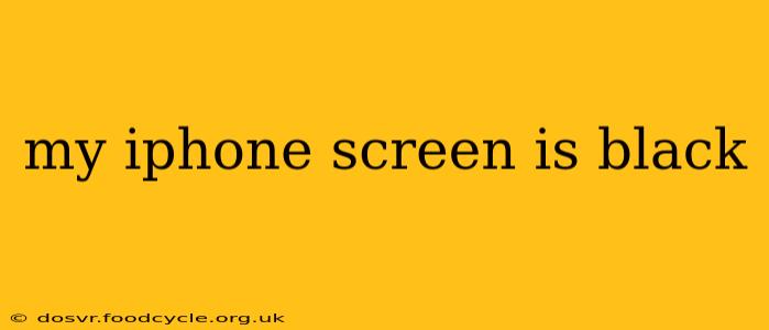my iphone screen is black