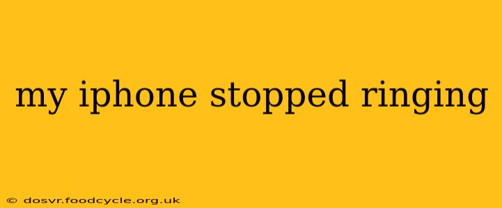 my iphone stopped ringing