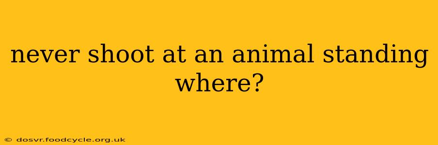 never shoot at an animal standing where?