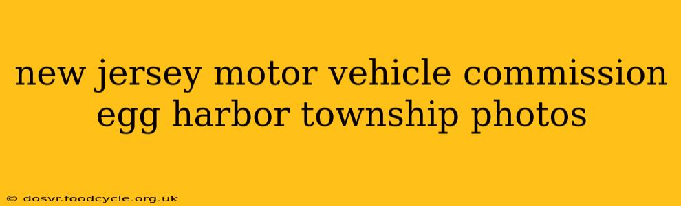 new jersey motor vehicle commission egg harbor township photos