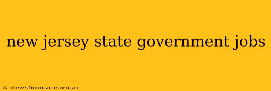 new jersey state government jobs