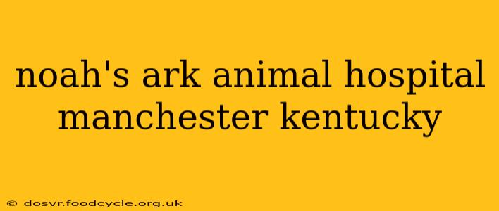 noah's ark animal hospital manchester kentucky