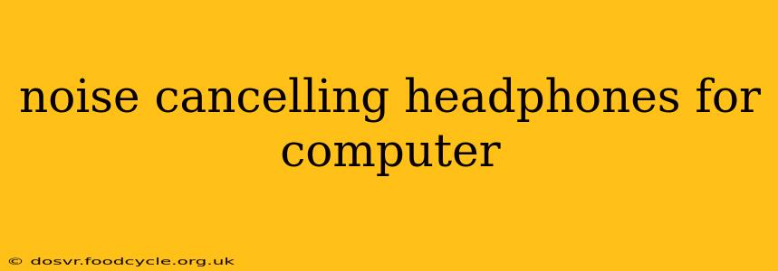 noise cancelling headphones for computer