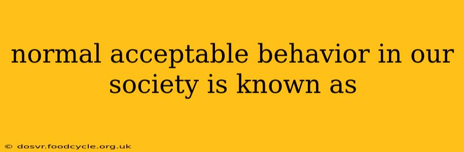 normal acceptable behavior in our society is known as
