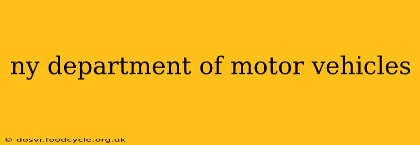 ny department of motor vehicles