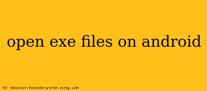 open exe files on android