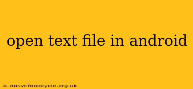 open text file in android