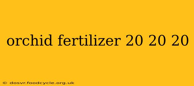 orchid fertilizer 20 20 20