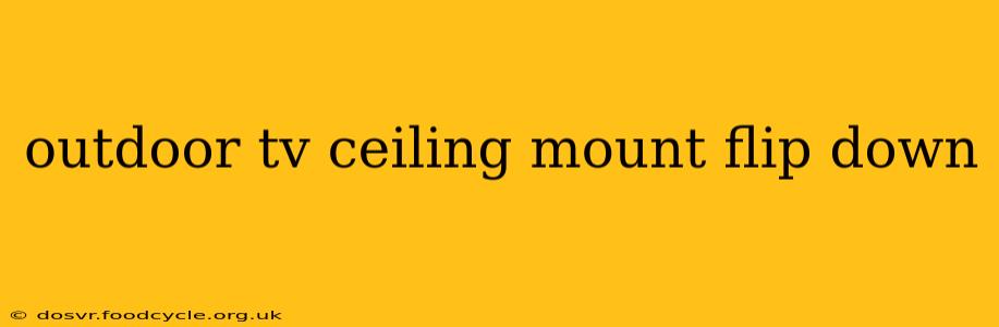 outdoor tv ceiling mount flip down