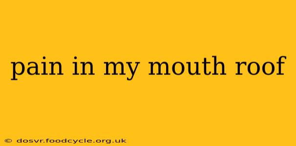 pain in my mouth roof
