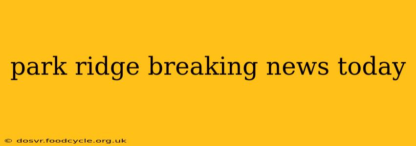 park ridge breaking news today