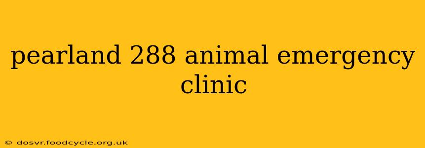 pearland 288 animal emergency clinic