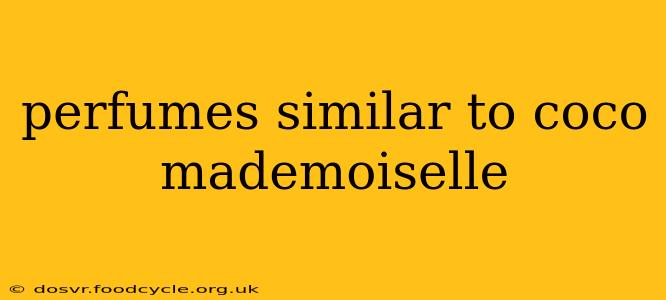 perfumes similar to coco mademoiselle