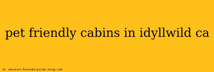 pet friendly cabins in idyllwild ca