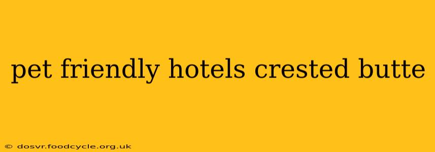 pet friendly hotels crested butte