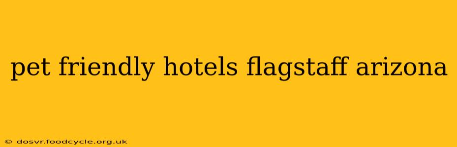 pet friendly hotels flagstaff arizona
