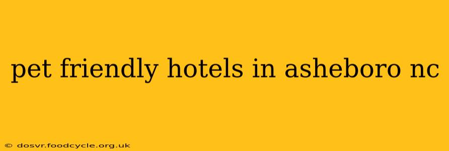 pet friendly hotels in asheboro nc