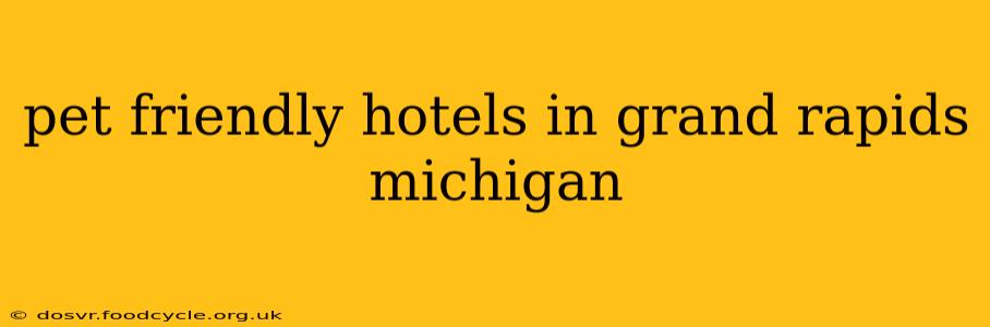 pet friendly hotels in grand rapids michigan