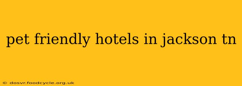 pet friendly hotels in jackson tn