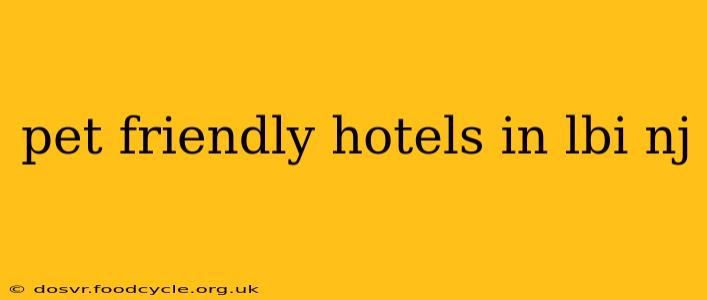 pet friendly hotels in lbi nj