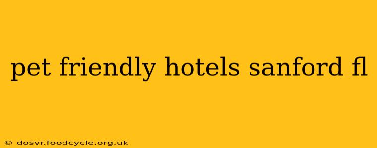pet friendly hotels sanford fl