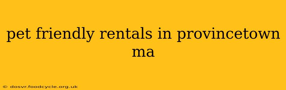 pet friendly rentals in provincetown ma