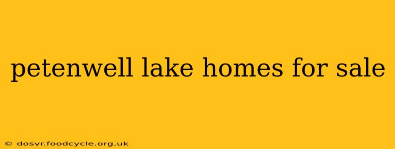 petenwell lake homes for sale