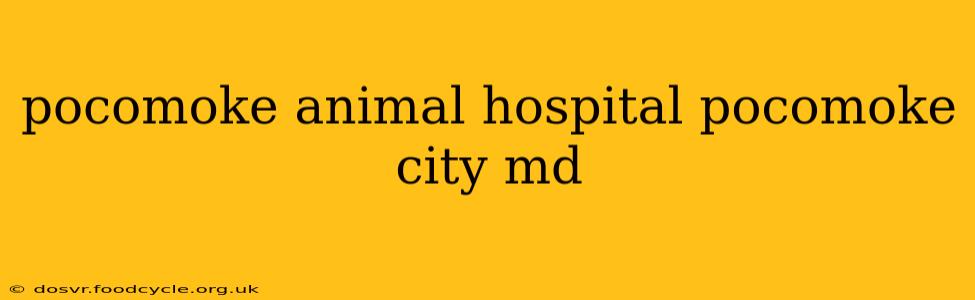 pocomoke animal hospital pocomoke city md