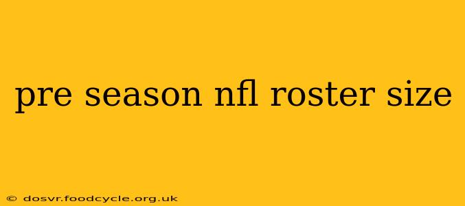 pre season nfl roster size