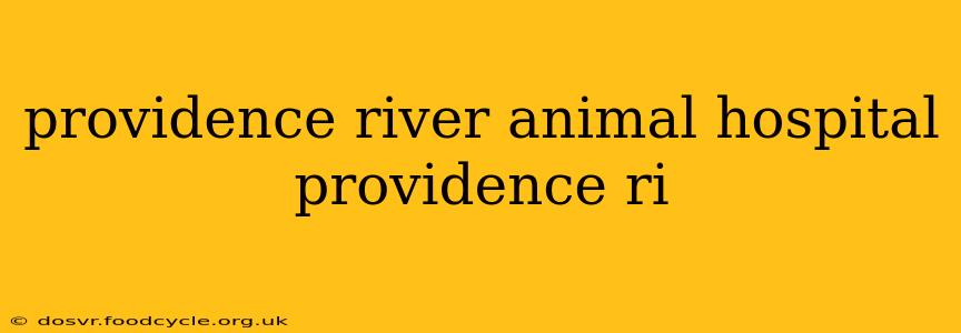 providence river animal hospital providence ri